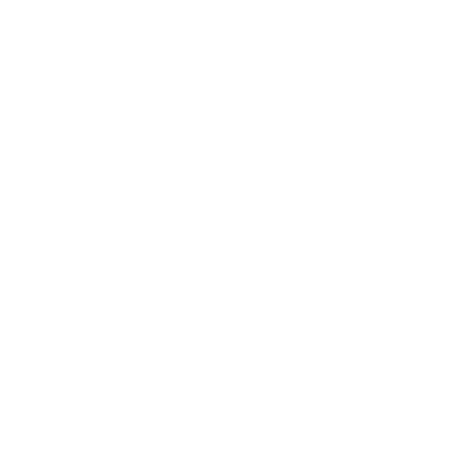 Raise Equity